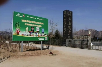 山東潔晶集團(tuán)總裁、市人大代表林成彬建言日照茶產(chǎn)業(yè)提質(zhì)增效